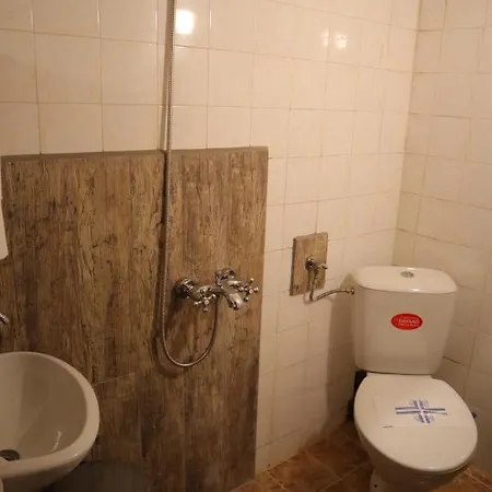 Apartman Roots Borovec